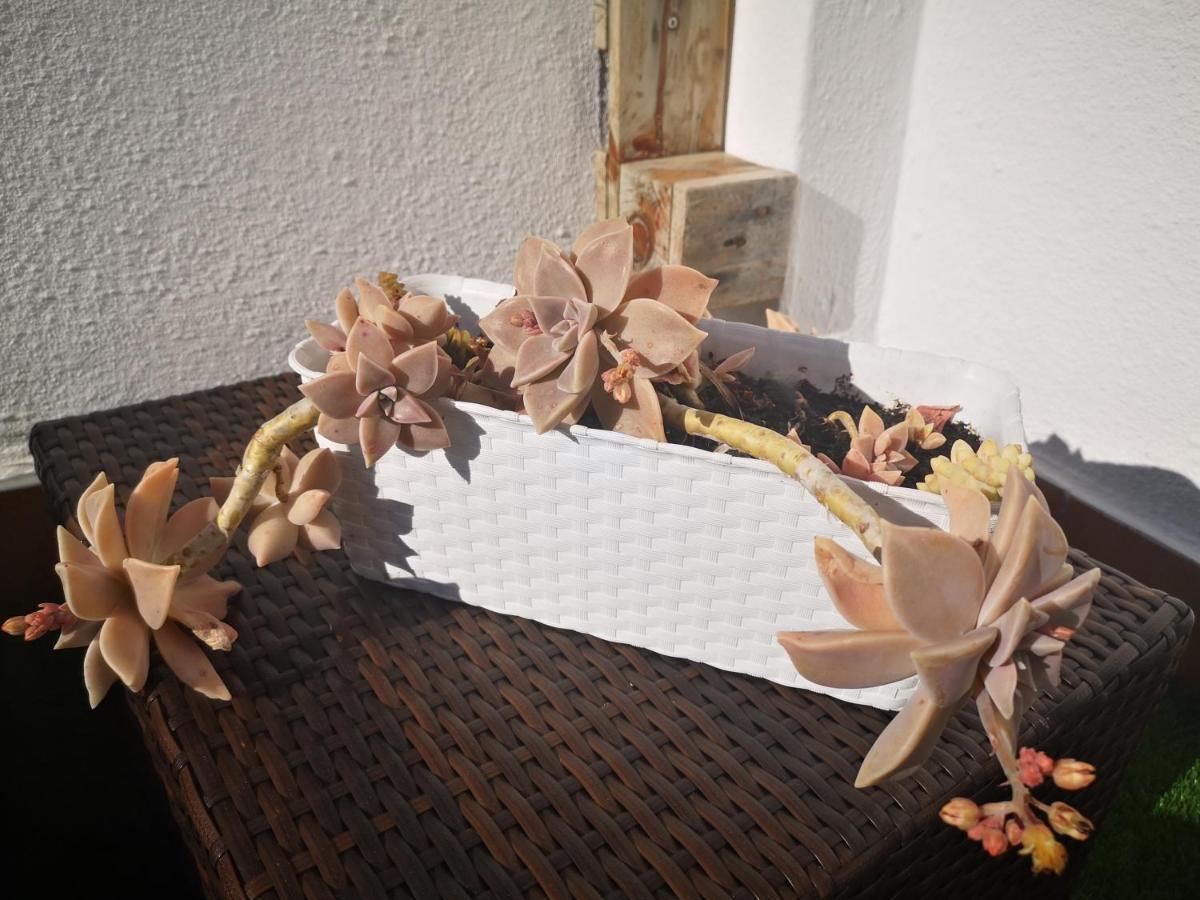 Family Surf Home - Hostel Mafra Zewnętrze zdjęcie